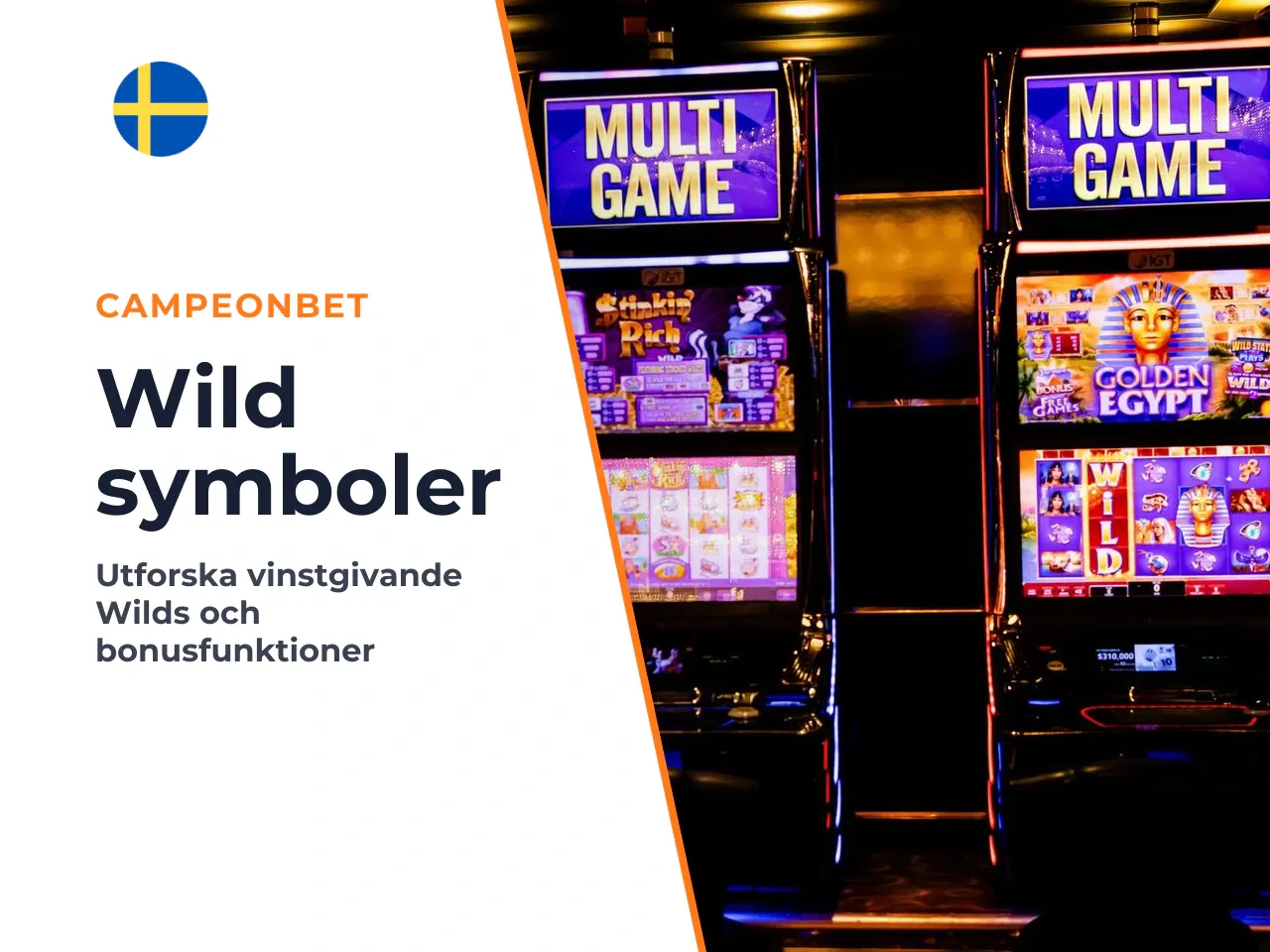 Wild Cat Symbol och FS symboler