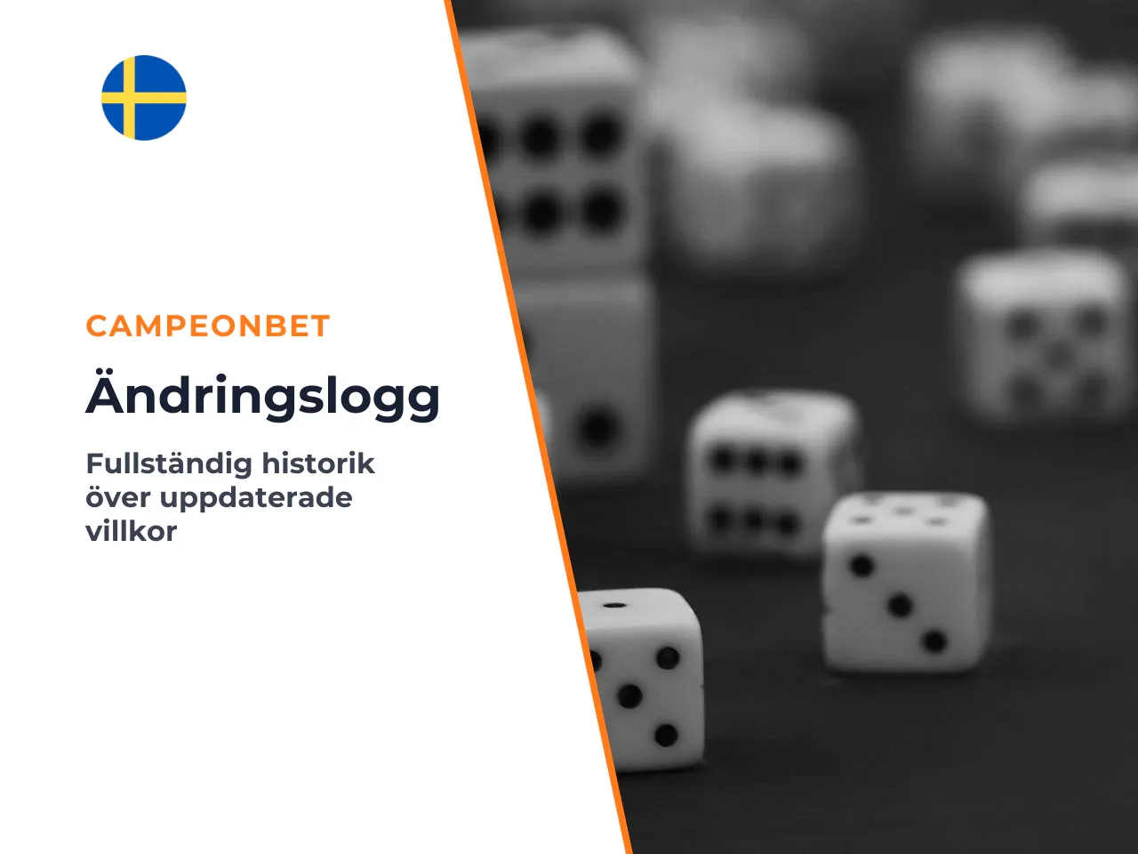 Appendix A Ändringslogg och tidigare formuleringar