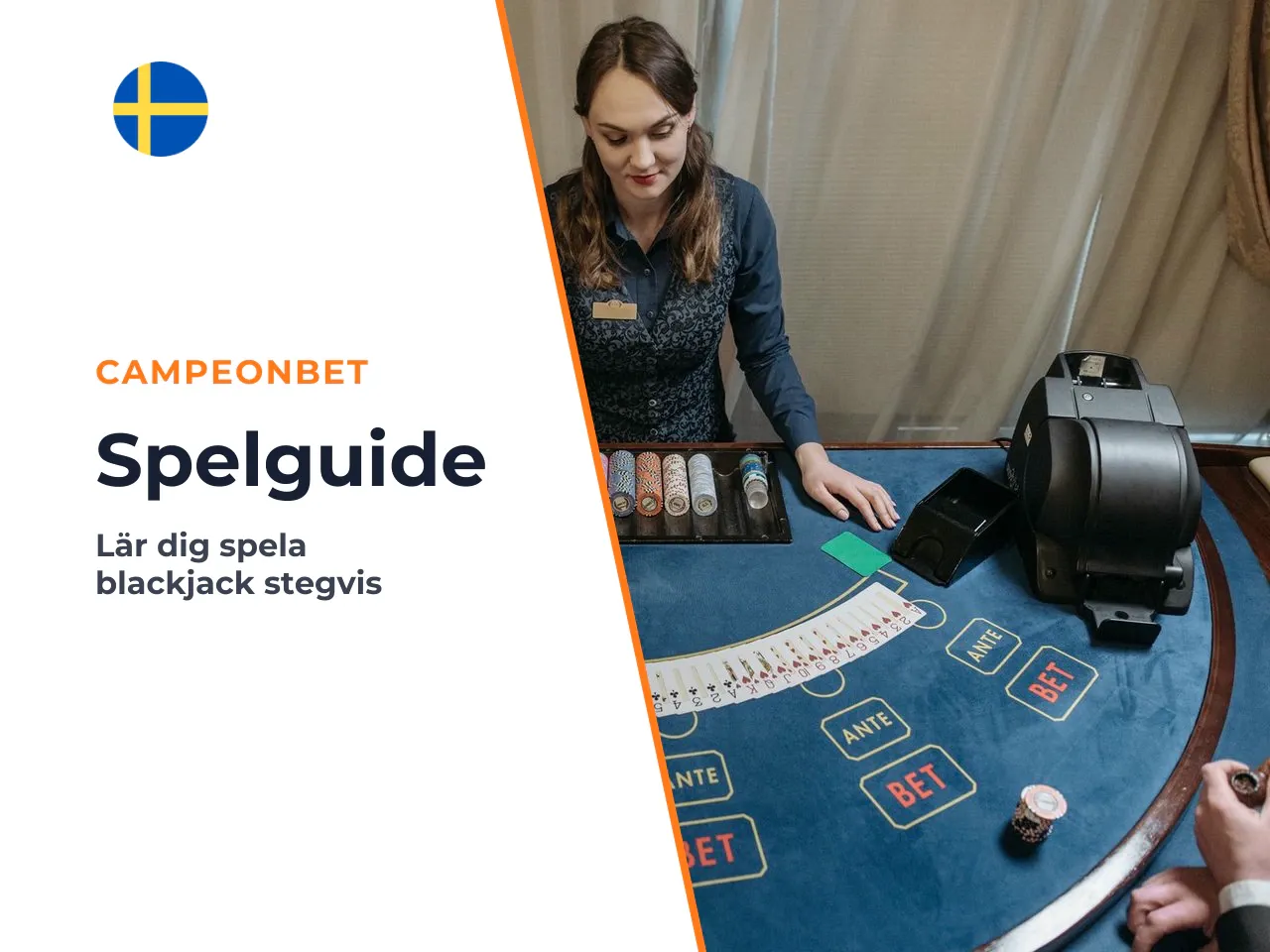 Steg-för-steg så spelas en runda i