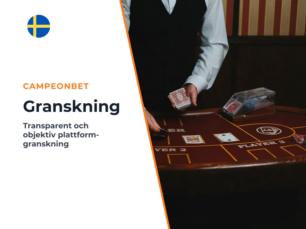 Vad vi inte kunde verifiera i