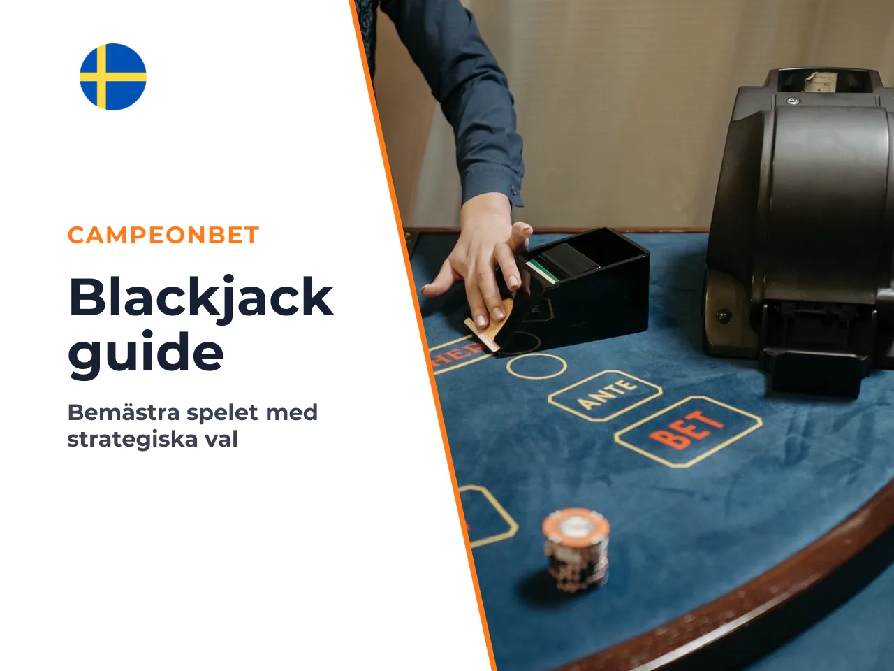 Sammanfattning och redaktionellt omdöme. Att spela