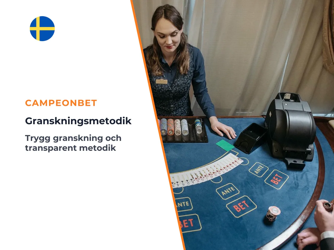 Så granskar vi metodik och testförfarande