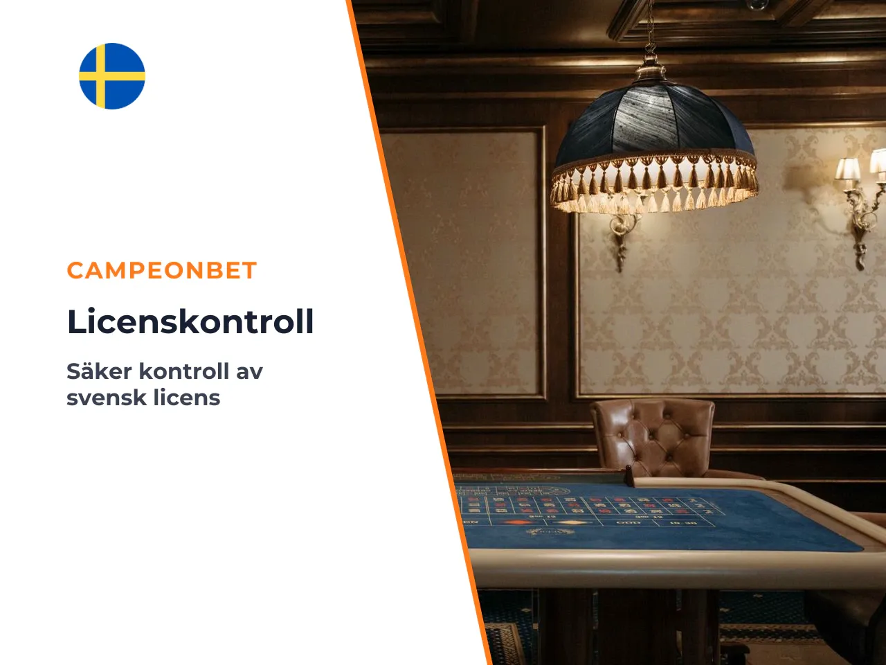 30-sekunders licenskontroll så vet du att