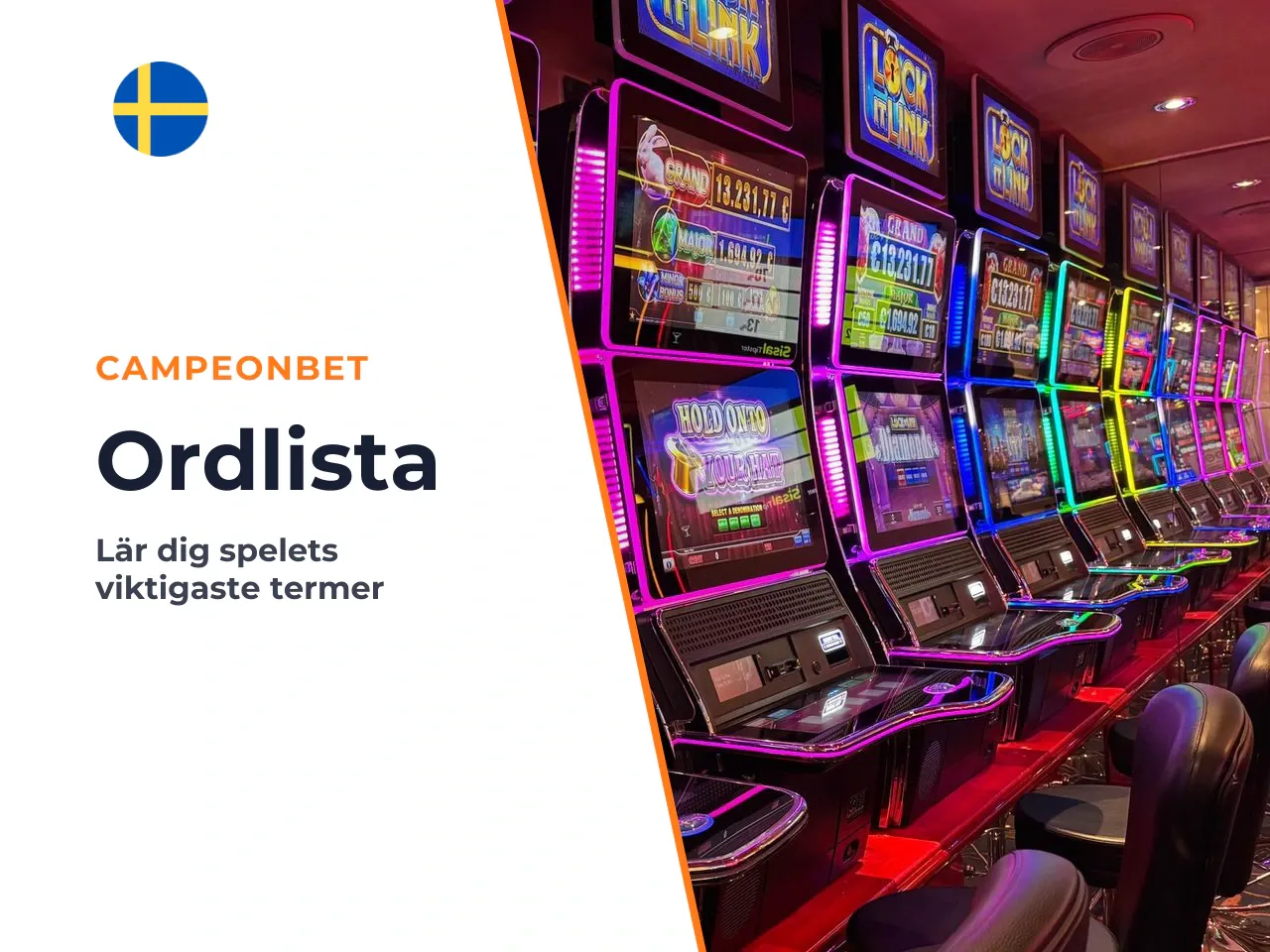 Ordlista termerna i den här granskningen