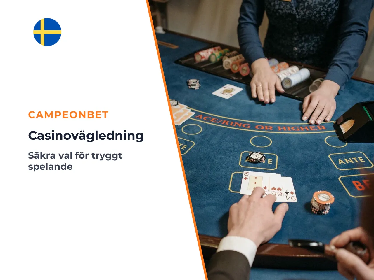 Vad du bör kontrollera innan du