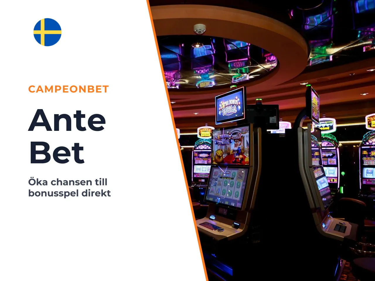 Om Ante Bet i praktiken. Leverantörens