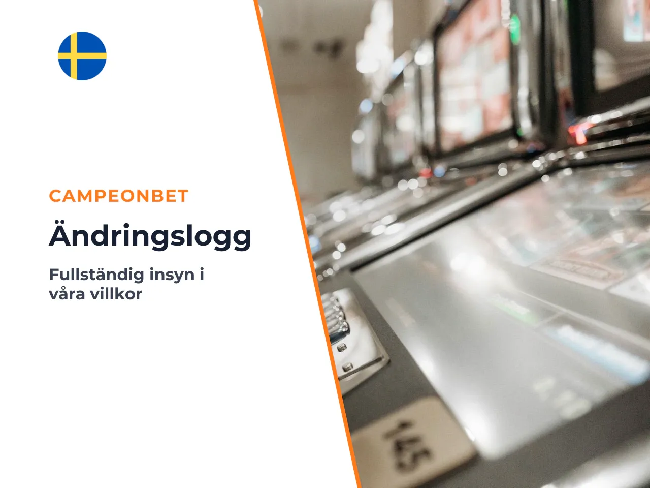 Bilaga A ändringslogg och tidigare formuleringar