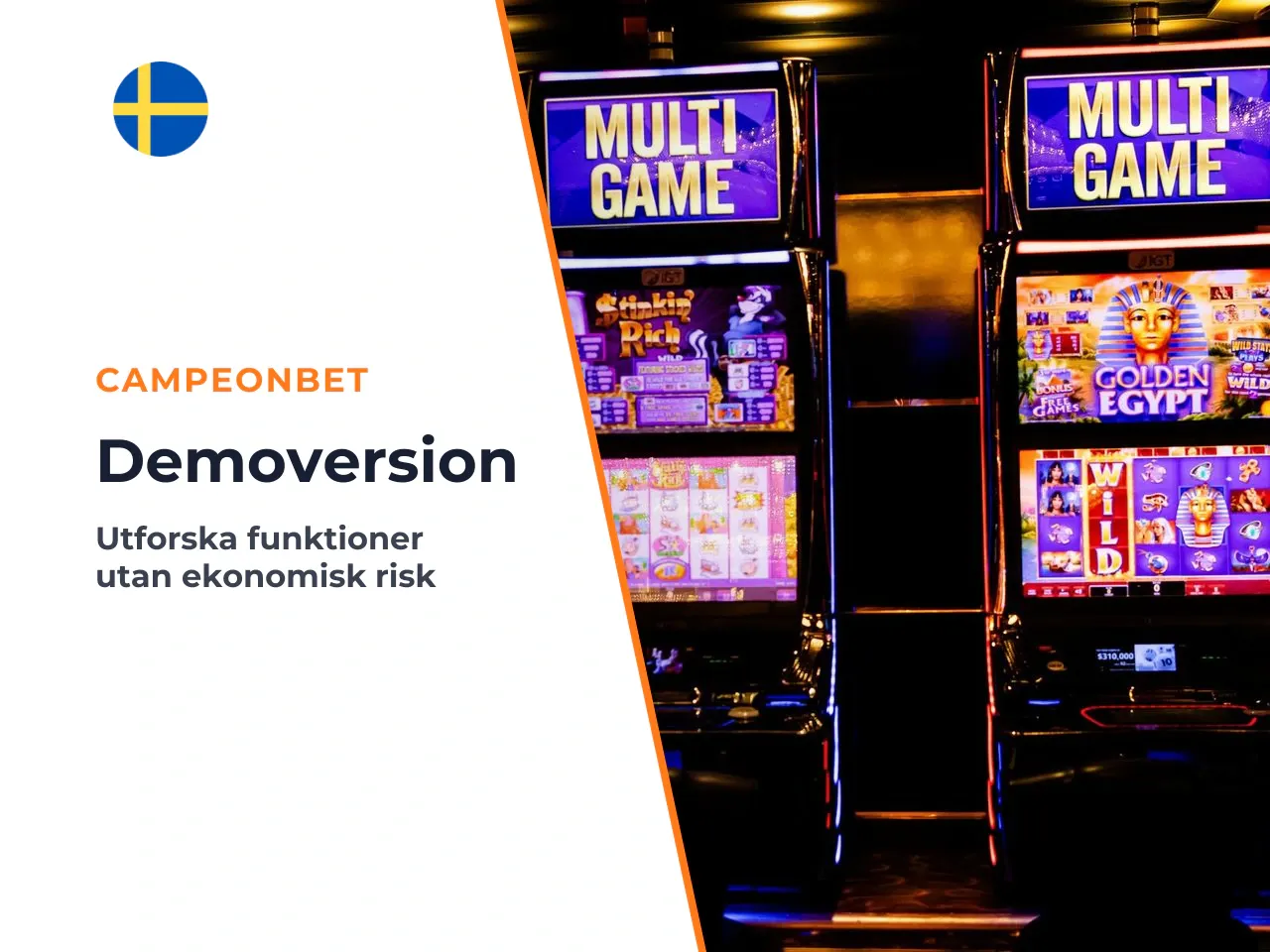 Vad du kan testa i demoversionen