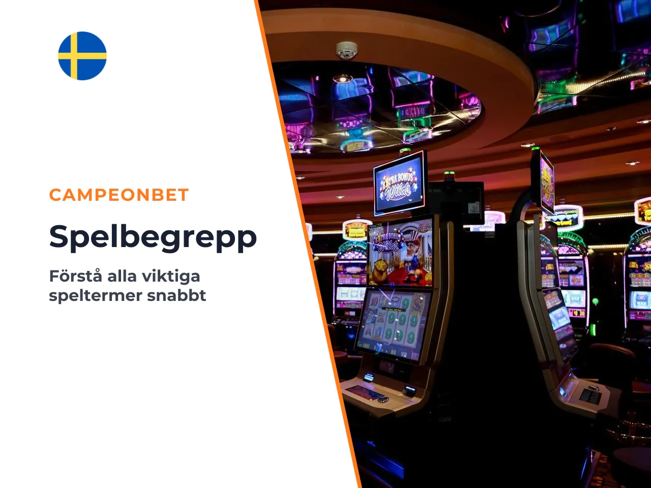 Ordlista begreppen du möter i Star